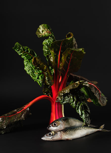Let Food Be Thy Medicine with Kayla Barnes