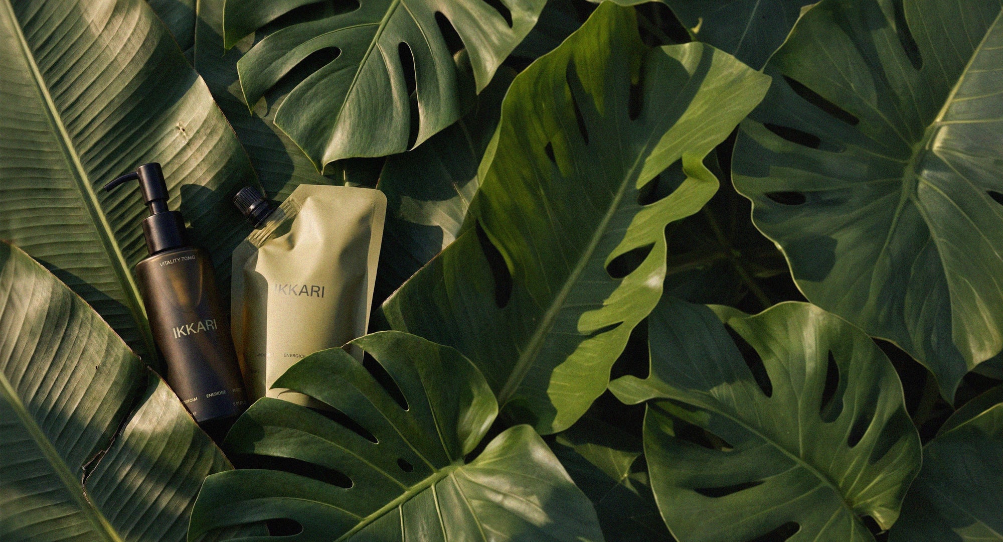 YOUR DAILY DOSE OF WELLNESS, REFILLED